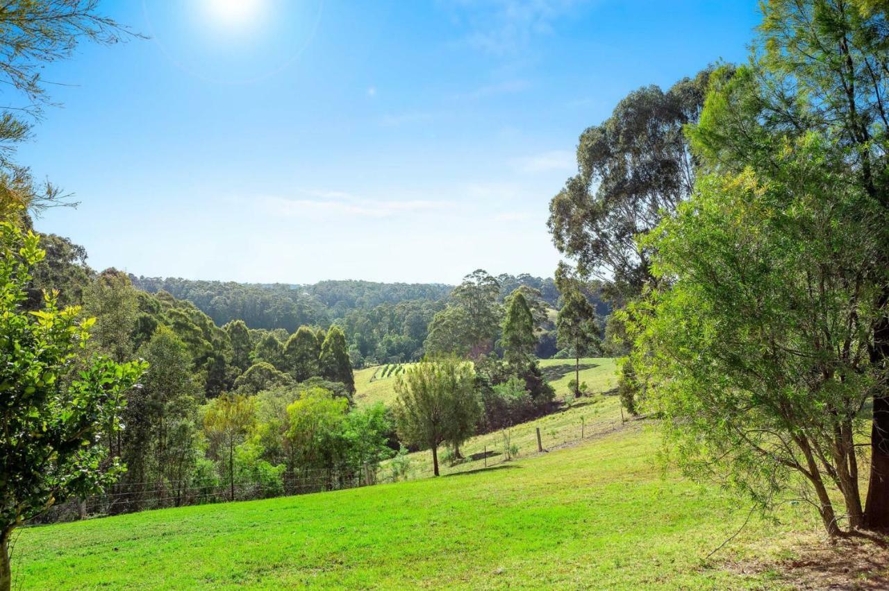 Braeside Cabin Two - Alphitonia Central Tilba Esterno foto